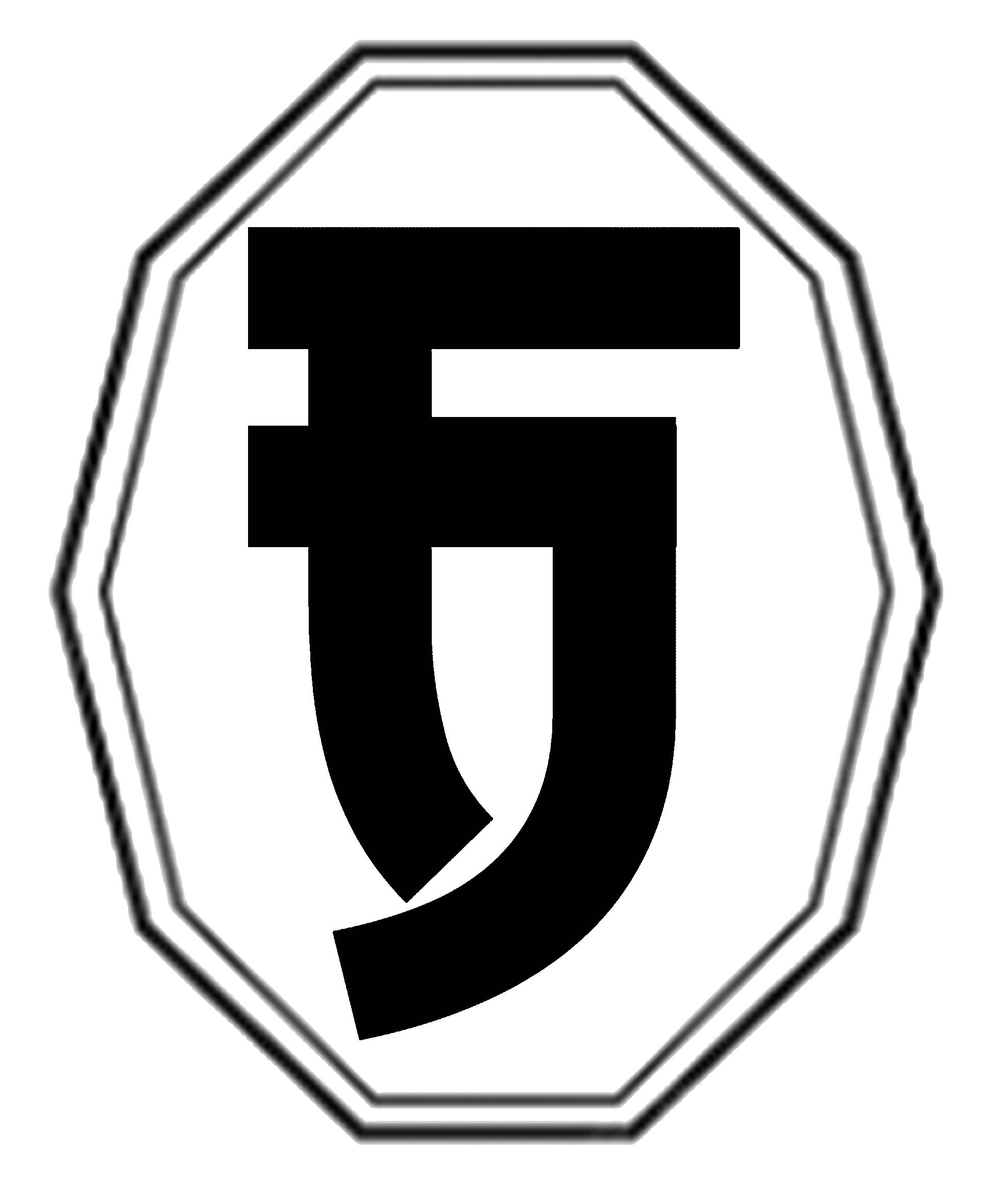 FJ WEB 